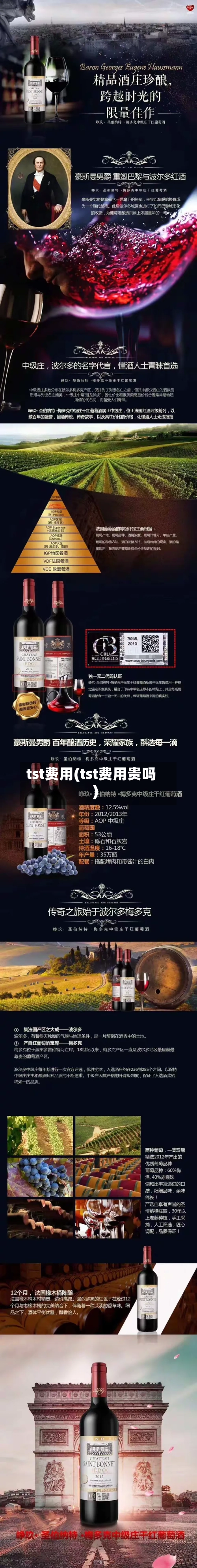 tst费用(tst费用贵吗)