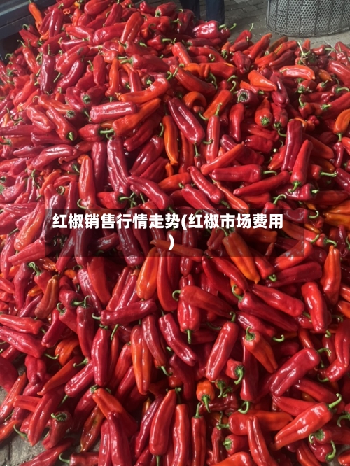 红椒销售行情走势(红椒市场费用)-第3张图片