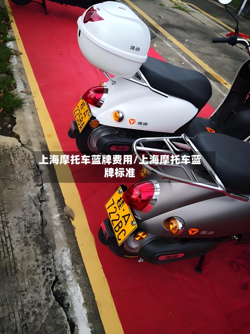 上海摩托车蓝牌费用/上海摩托车蓝牌标准