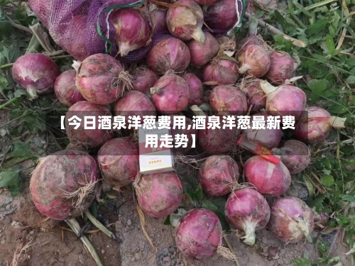 【今日酒泉洋葱费用,酒泉洋葱最新费用走势】