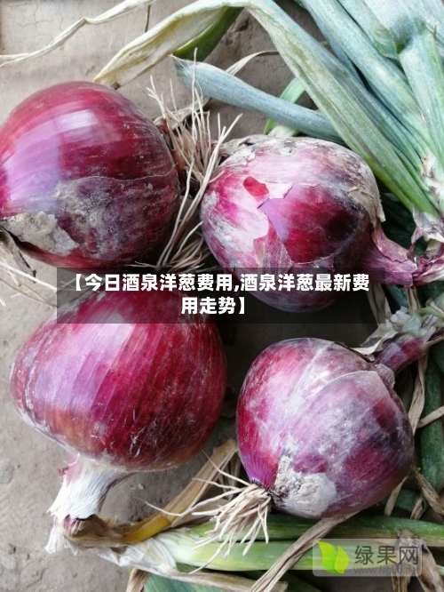 【今日酒泉洋葱费用,酒泉洋葱最新费用走势】-第2张图片
