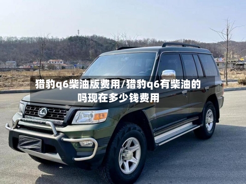 猎豹q6柴油版费用/猎豹q6有柴油的吗现在多少钱费用