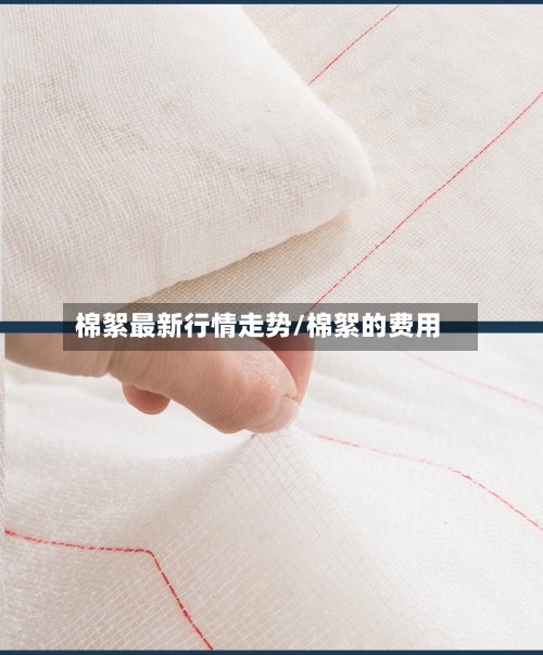 棉絮最新行情走势/棉絮的费用