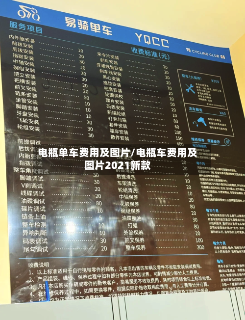 电瓶单车费用及图片/电瓶车费用及图片2021新款