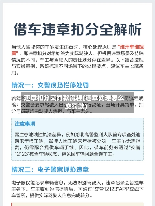 违章扣分交罚款流程(违章处理怎么交罚款)