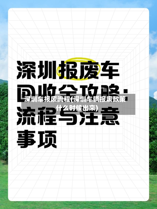 深圳车报废流程(深圳车辆报废政策什么时候出来)-第2张图片