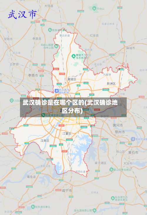 武汉确诊是在哪个区的(武汉确诊地区分布)-第2张图片