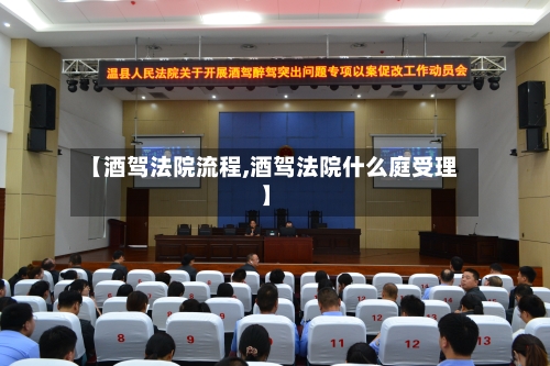 【酒驾法院流程,酒驾法院什么庭受理】