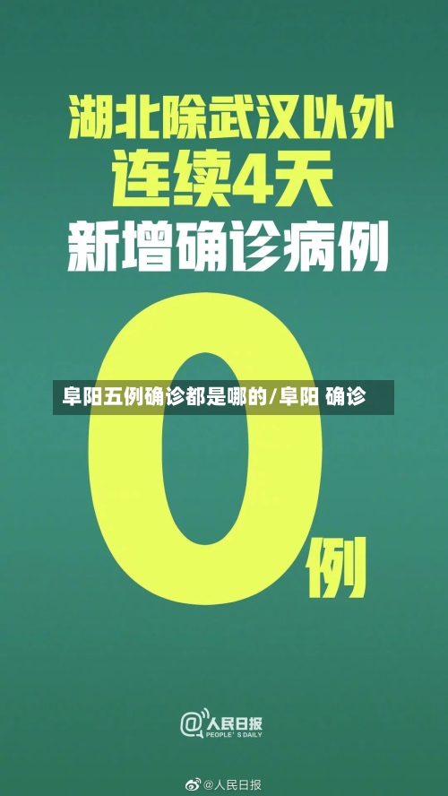 阜阳五例确诊都是哪的/阜阳 确诊-第3张图片
