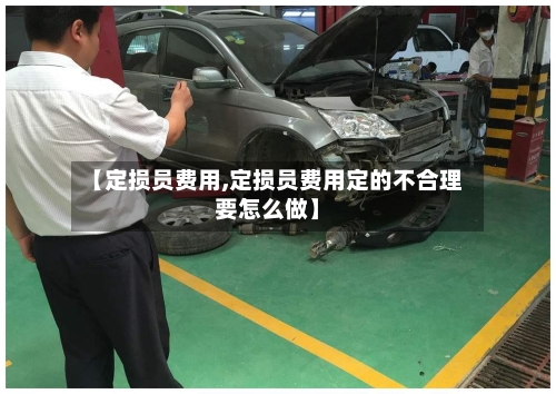 【定损员费用,定损员费用定的不合理要怎么做】