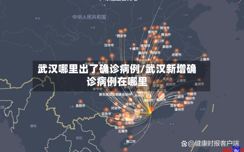武汉哪里出了确诊病例/武汉新增确诊病例在哪里-第3张图片