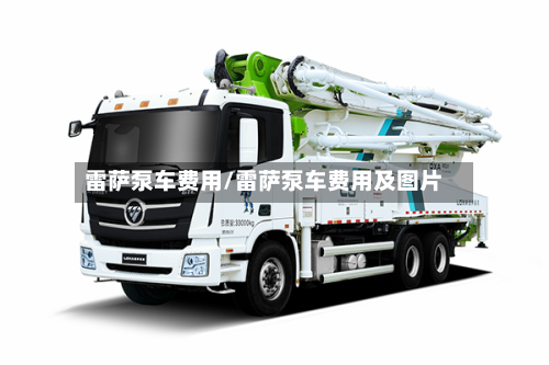 雷萨泵车费用/雷萨泵车费用及图片-第3张图片