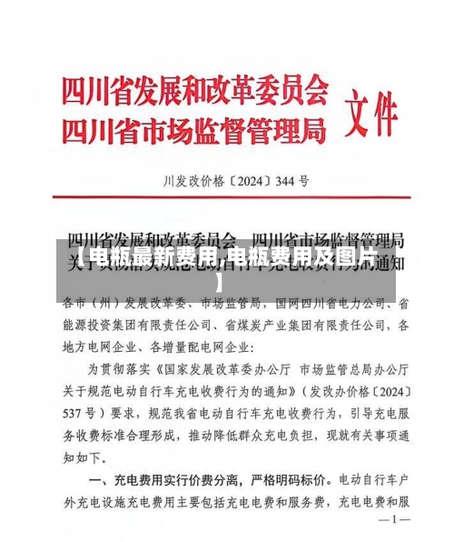 【电瓶最新费用,电瓶费用及图片】-第2张图片
