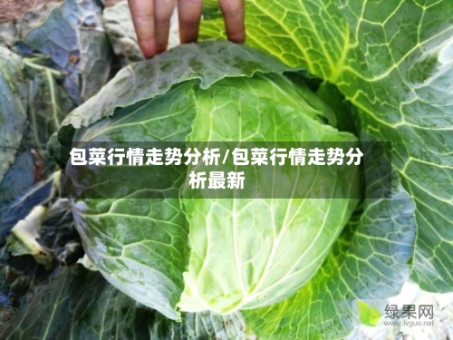 包菜行情走势分析/包菜行情走势分析最新