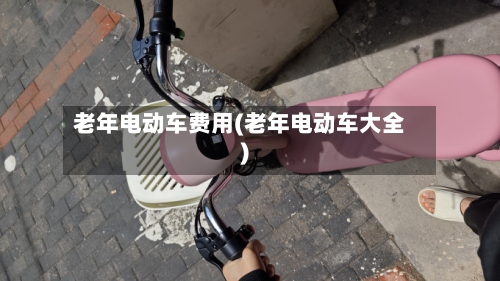 老年电动车费用(老年电动车大全)