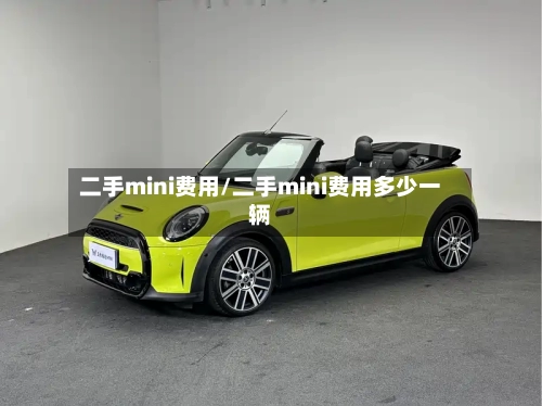 二手mini费用/二手mini费用多少一辆