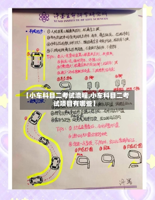 【小车科目二考试流程,小车科目二考试项目有哪些】