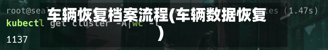 车辆恢复档案流程(车辆数据恢复)-第3张图片