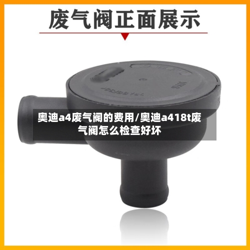 奥迪a4废气阀的费用/奥迪a418t废气阀怎么检查好坏-第2张图片