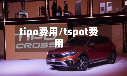tipo费用/tspot费用