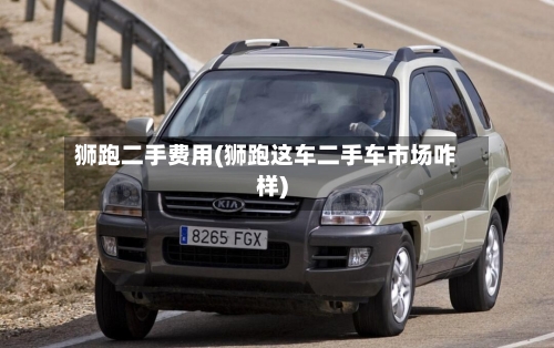 狮跑二手费用(狮跑这车二手车市场咋样)-第2张图片