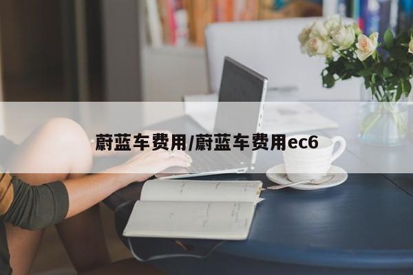 蔚蓝车费用/蔚蓝车费用ec6