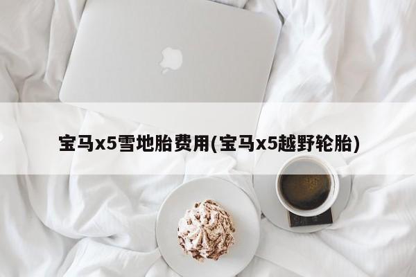宝马x5雪地胎费用(宝马x5越野轮胎)