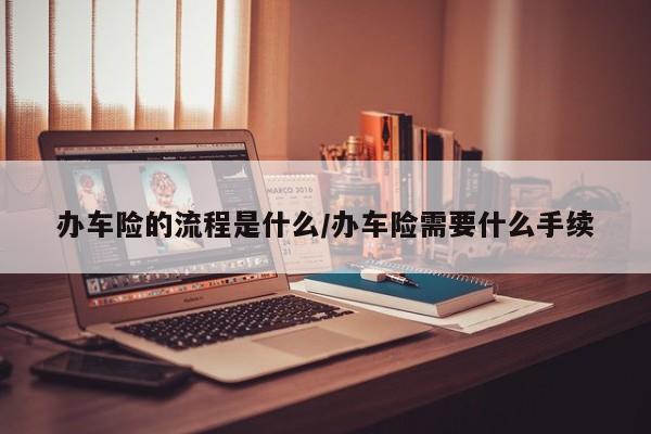 办车险的流程是什么/办车险需要什么手续